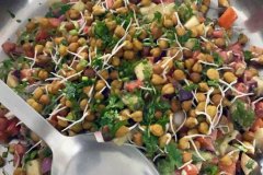 aadi-yoga-food-5