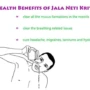 Jal Neti: A Yogic Cleansing Ritual for Optimal Health